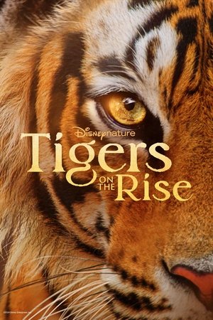 Watch Free Tigers on the Rise (2024)