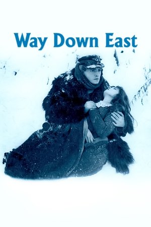 Watch Free Way Down East (1920)