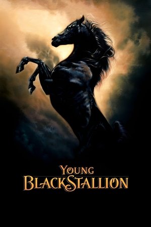 Watch Free The Young Black Stallion (2003)