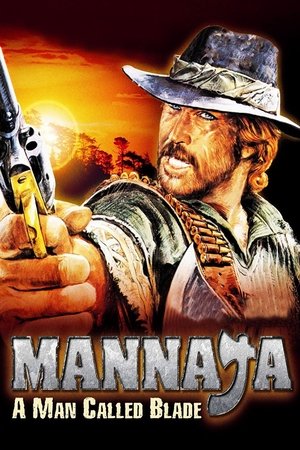 Watch Free A Man Called Blade (1977)