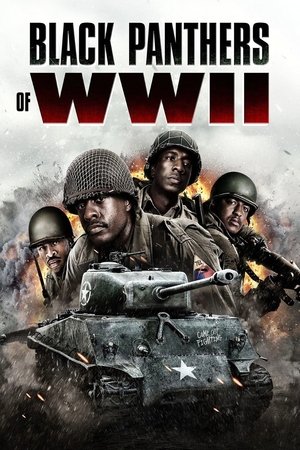 Watch Free Black Panthers of WWII (2025)