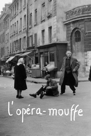 Watch Free Diary of a Pregnant Woman (1958)