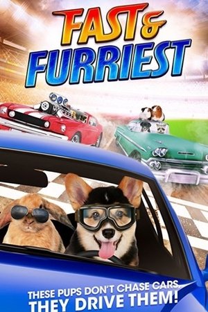 Watch Free Fast and Furriest (2017)