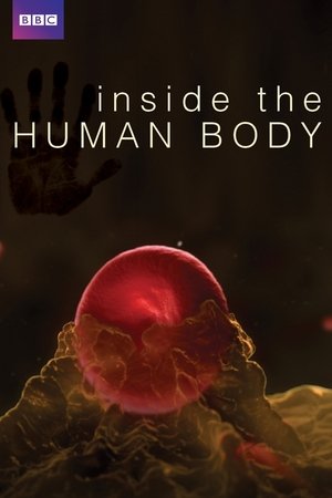 Watch Free Inside the Human Body (2011 )