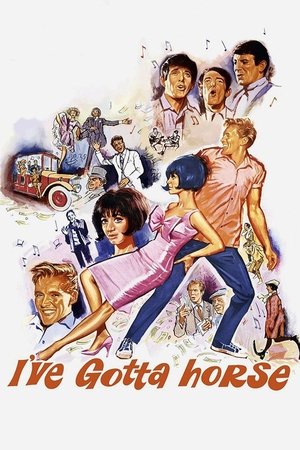 Watch Free Ive Gotta Horse (1965)