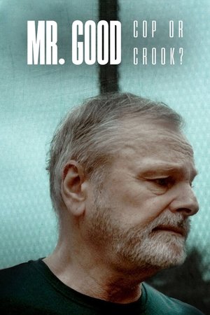 Watch Free Mr Good Cop or Crook (2022)