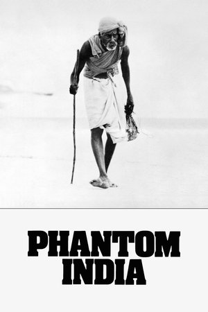 Watch Free Phantom India (1969-)