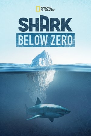 Watch Free Shark Below Zero (2023)