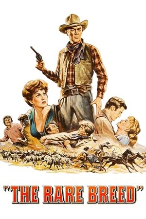 Watch Free The Rare Breed (1966)