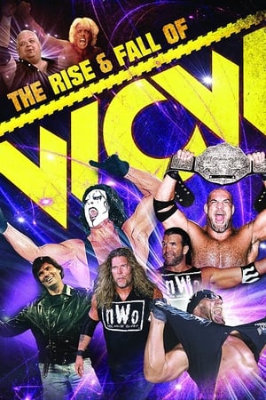 Watch Free WWE The Rise and Fall of WCW (2009)