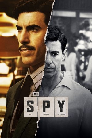 Watch Free The Spy (2017 )