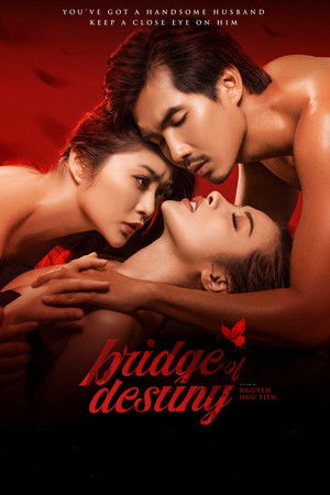 Watch Free Bridge of Destiny (2020)