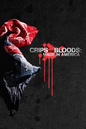 Watch Free Crips and Bloods: Made in America (2008)
