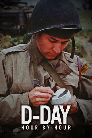 Watch Free D Day Hour by Hour (2024)