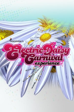Watch Free Electric Daisy Carnival Experience (2011)