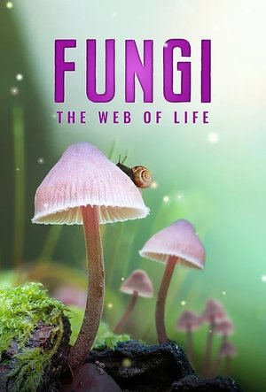 Watch Free Fungi The Web of Life (2023)