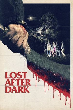 Watch Free Lost After Dark (2015)