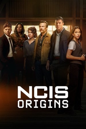 Watch Free NCIS Origins (2024-)