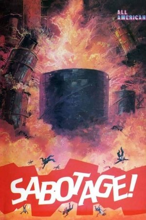 Watch Free Strategia per una missione di morte (1979)