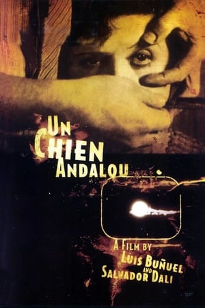 Watch Free An Andalusian Dog (1929)