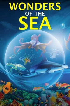Watch Free Wonders of the Sea (2017)