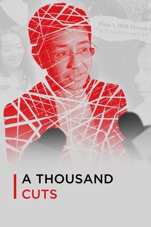 Watch Free A Thousand Cuts (2020)