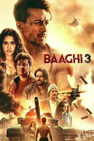 Watch Free Baaghi 3 (2020)