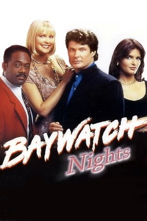 Watch Free Baywatch Nights (19951997)