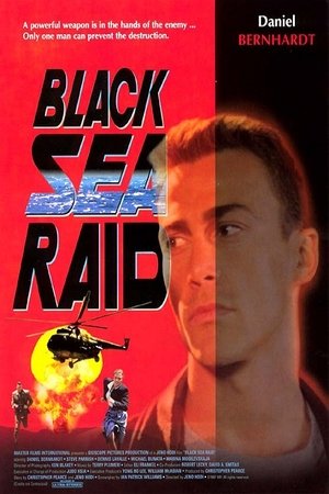 Watch Free Black Sea Raid (2000)
