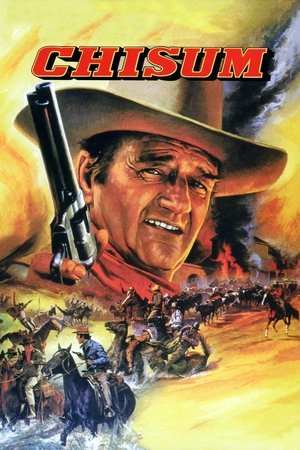 Watch Free Chisum (1970)