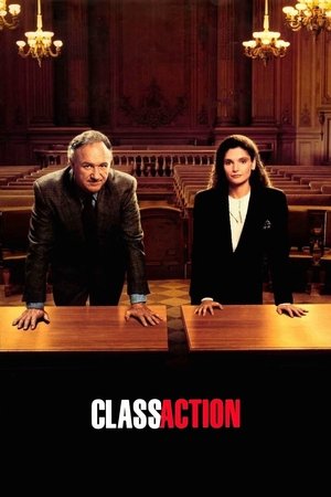 Watch Free Class Action (1991)