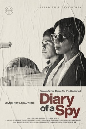 Watch Free Diary of a Spy (2022)
