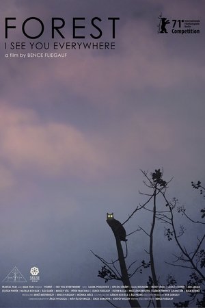 Watch Free Forest I See You Everywhere (2021)