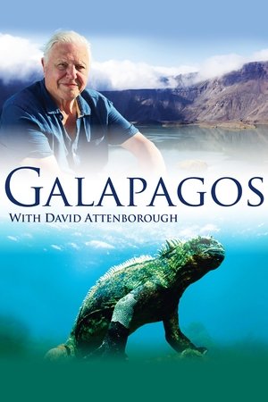 Watch Free Galapagos 3D (2013)
