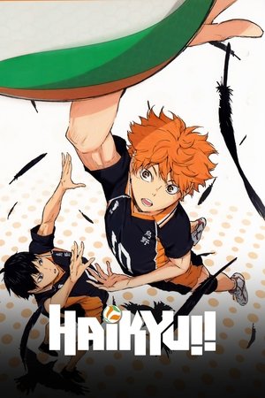 Watch Free Haikyuu!! (2014 )