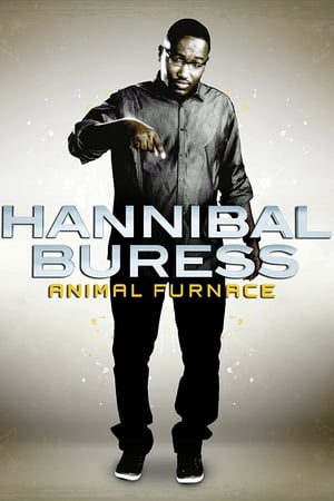 Watch Free Hannibal Buress: Animal Furnace (2012)
