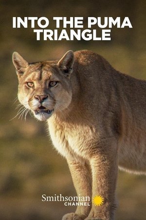 Watch Free Into the Puma Triangle (2020)