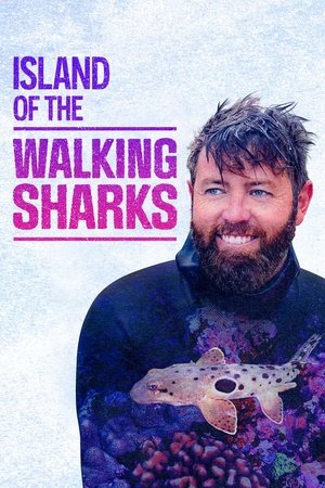 Watch Free Island of the Walking Sharks (2022)