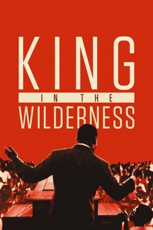 Watch Free King in the Wilderness (2018)
