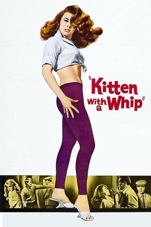 Watch Free Kitten with a Whip (1964)
