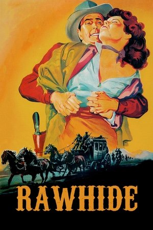 Watch Free Rawhide (1951)