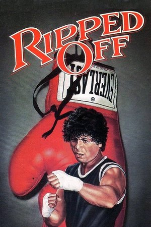 Watch Free The Boxer (1972)