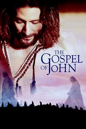 Watch Free The Visual Bible: The Gospel of John (2003)