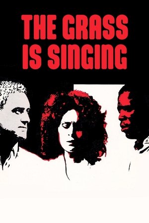 Watch Free Killing Heat (1981)