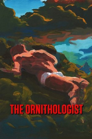 Watch Free The Ornithologist (2016)