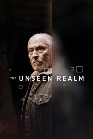 Watch Free The Unseen Realm (2019)