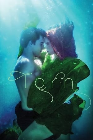 Watch Free Torn A Wicked Trilogy (2022)