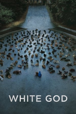 Watch Free White God (2014)