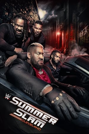 Watch Free WWE SummerSlam (2024)