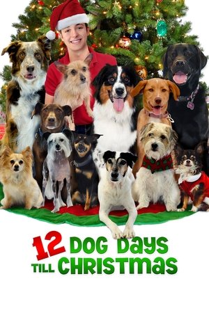 Watch Free 12 Dog Days Till Christmas (2014)